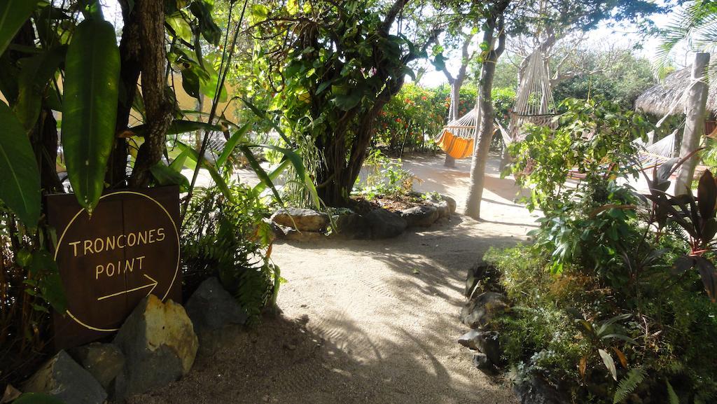 Troncones Point Hostel Zewnętrze zdjęcie