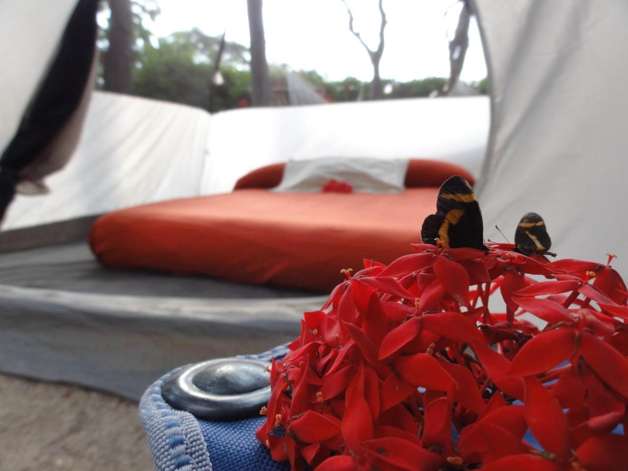 Troncones Point Hostel Zewnętrze zdjęcie